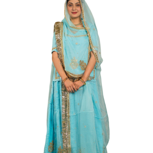 Sky Blue Gottapatti Poshak Set | Premium Bamber Satin | Jaipurio Designer Collection